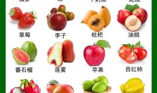 每个月都有哪些当季水果 应季水果有哪些